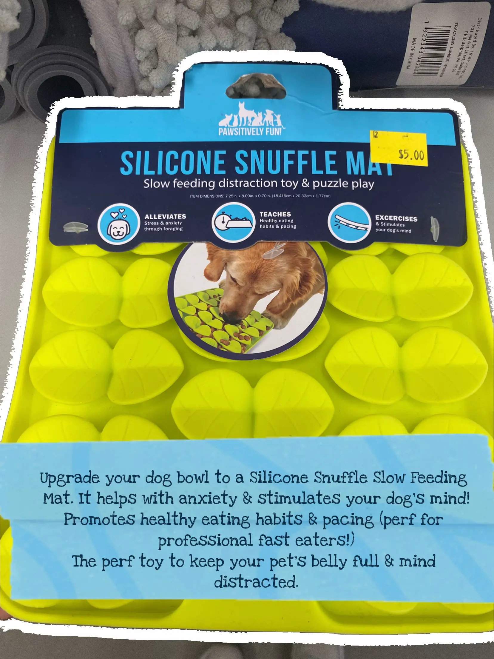 Cheap Pet Supplies at Five Below Lemon8 Search