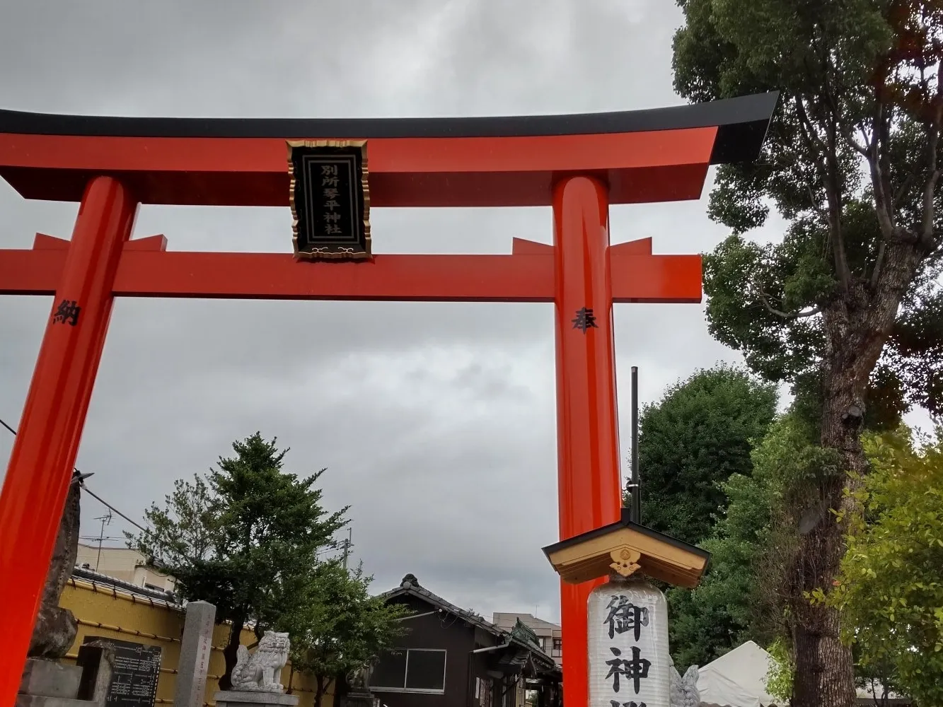 夏越の大祓神事参拝 #琴平神社 #琴平神社御朱印 #琴平神社開運厄除福