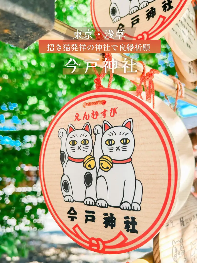 9/29は招き猫の日🐱】おみくじも御守りも招き猫！奥浅草にある縁結びの神社｜東京•浅草 | maru｜東京ひとり散歩の投稿動画 | Lemon8