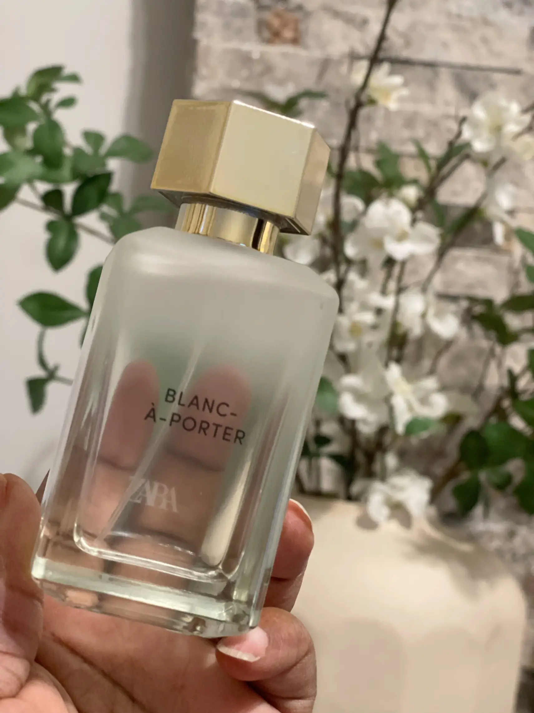 Blanc-à-Porter (Layering Enhancer Fragrance) Zara perfume - a new