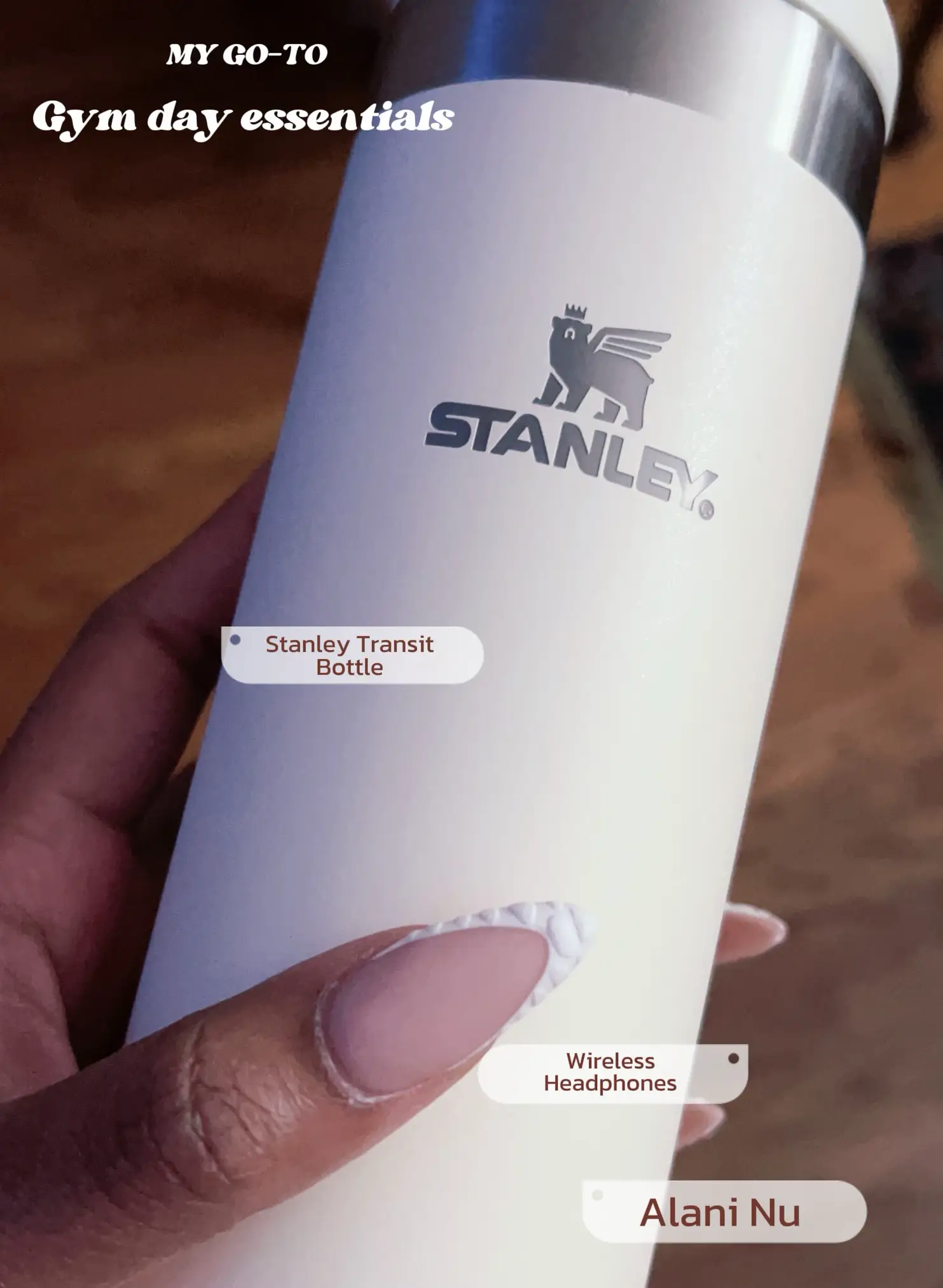 Stanley 16oz Stainless Steel Aerolight Transit Bottle - Pink Vibes : Target