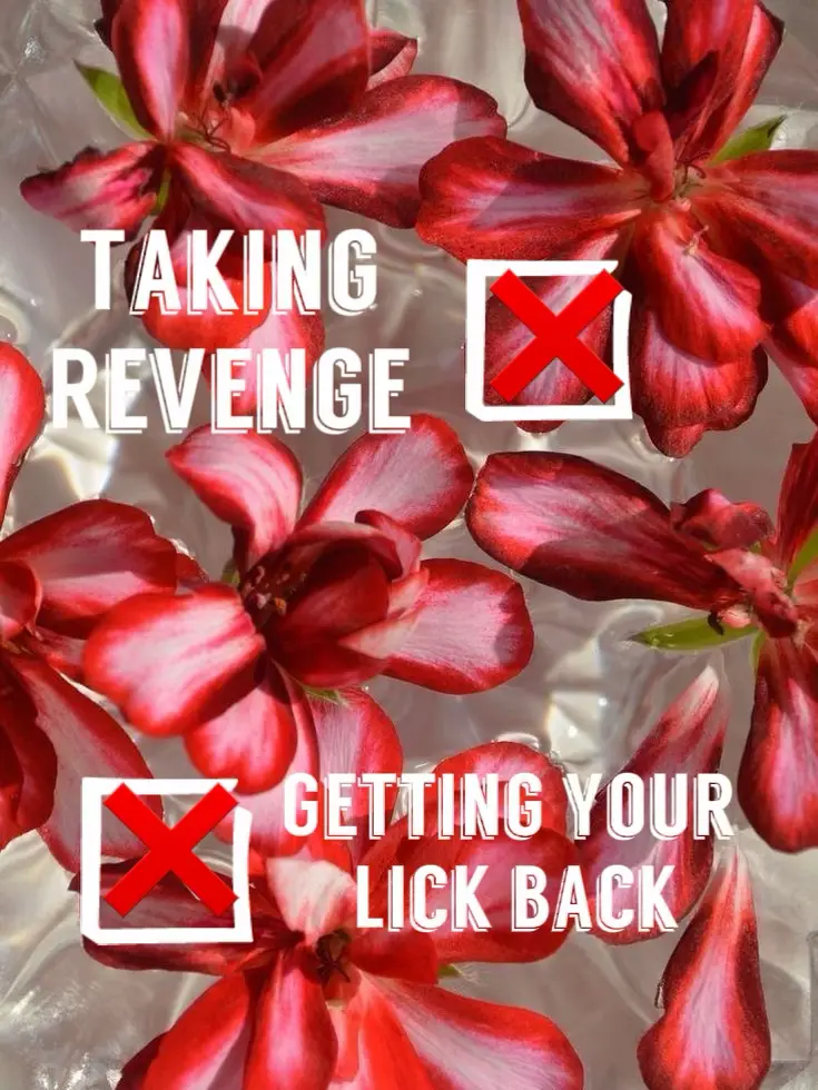 Why you SHOULDN’T get revenge! Gallery posted by Jor Lemon8