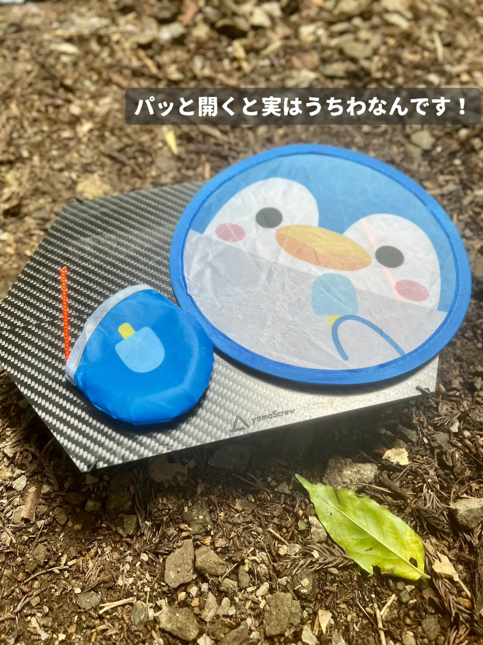 DAISO人気の夏グッズ〜キャンプで使ってみました！折りたたみうちわ