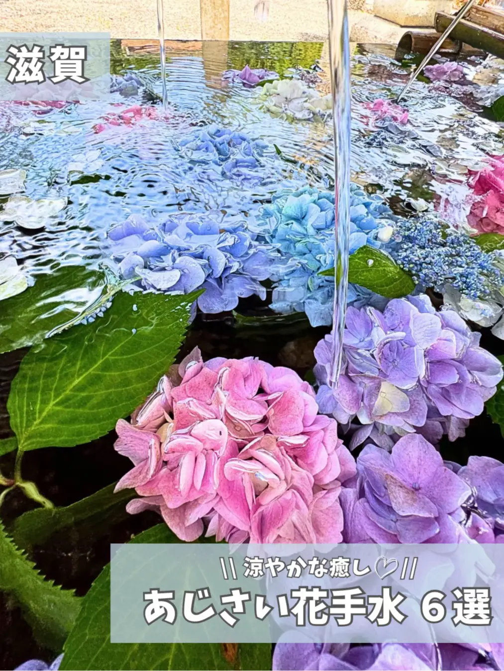 青と白の花柄陶器水鉢 【公式通販】