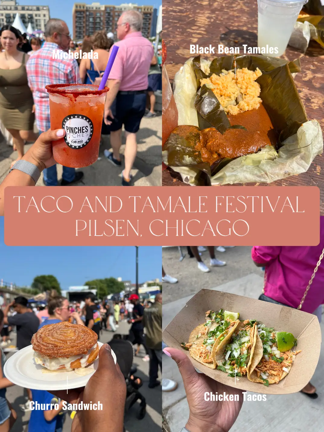 Taco and Tamale Festival Pilsen, Chicago แกลเลอรีที่โพสต์โดย Blair