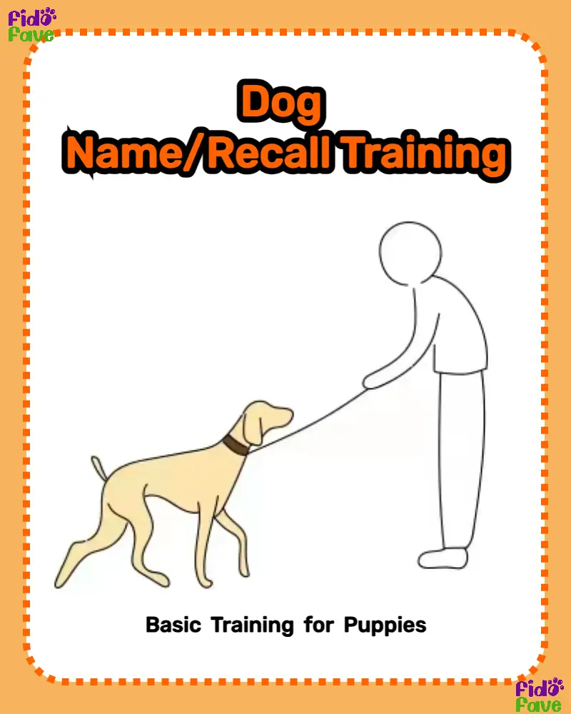 how do you teach a stubborn dog recall