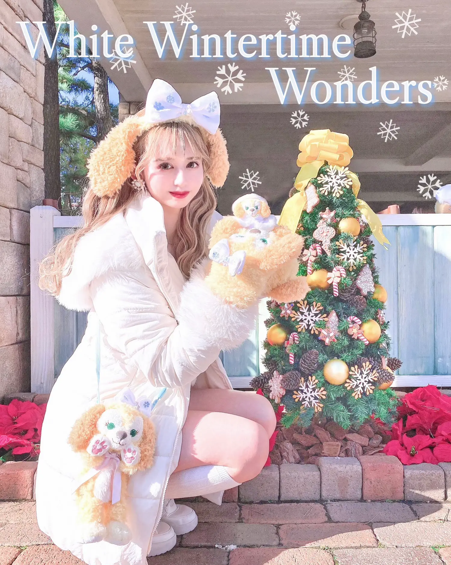 期間限定】昨日からスタート❄️ダッフィーフレンズ×クリスマス🎄💛 | みさきてぃが投稿したフォトブック | Lemon8