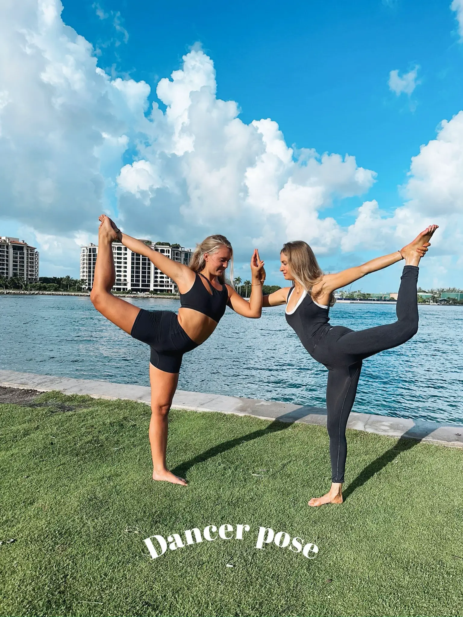WILD THING TO WHEEL POSE 🤩 learn how to do this fun yoga transition!