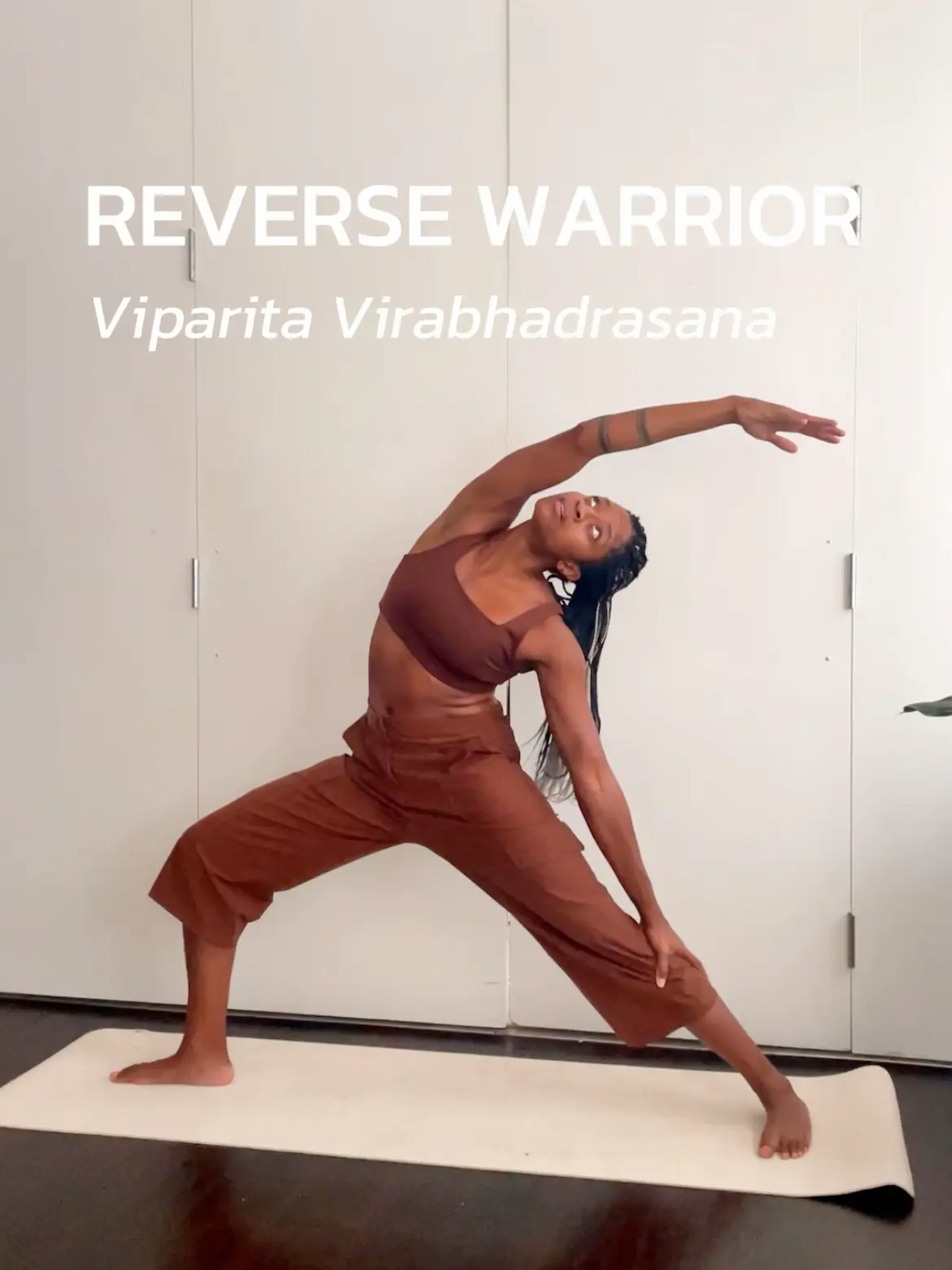 Reverse Warrior - Viparita Virabhadrasana - The Yoga Collective