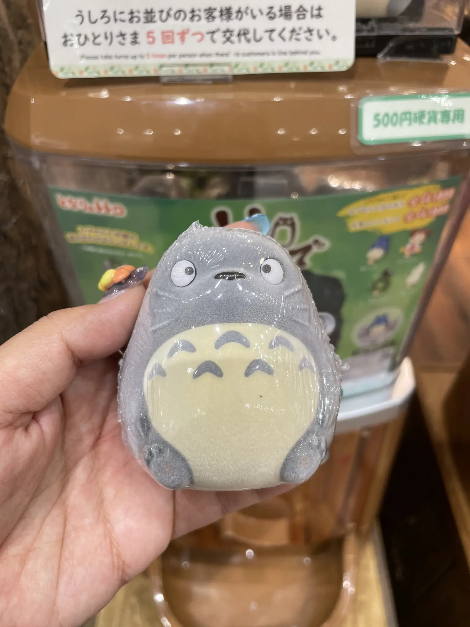 Come on, Totoro. | Gallery posted by 田中天｜カプセルトイを回す人