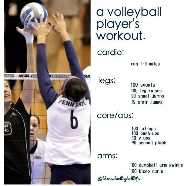 19 top Volleyball Athlete Workout ideas in 2024