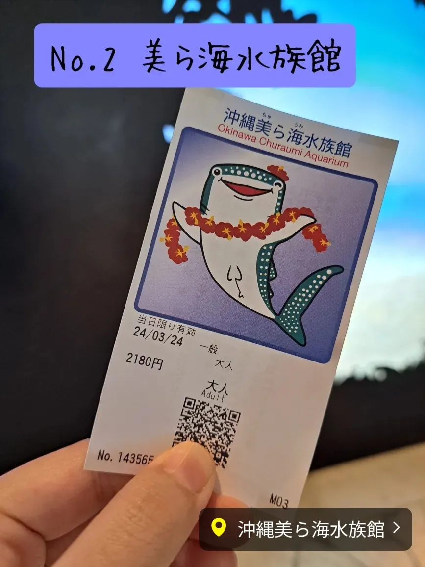 美ら海水族館　チケット大人2枚 美ら海水族館 入館チケット 大人2人