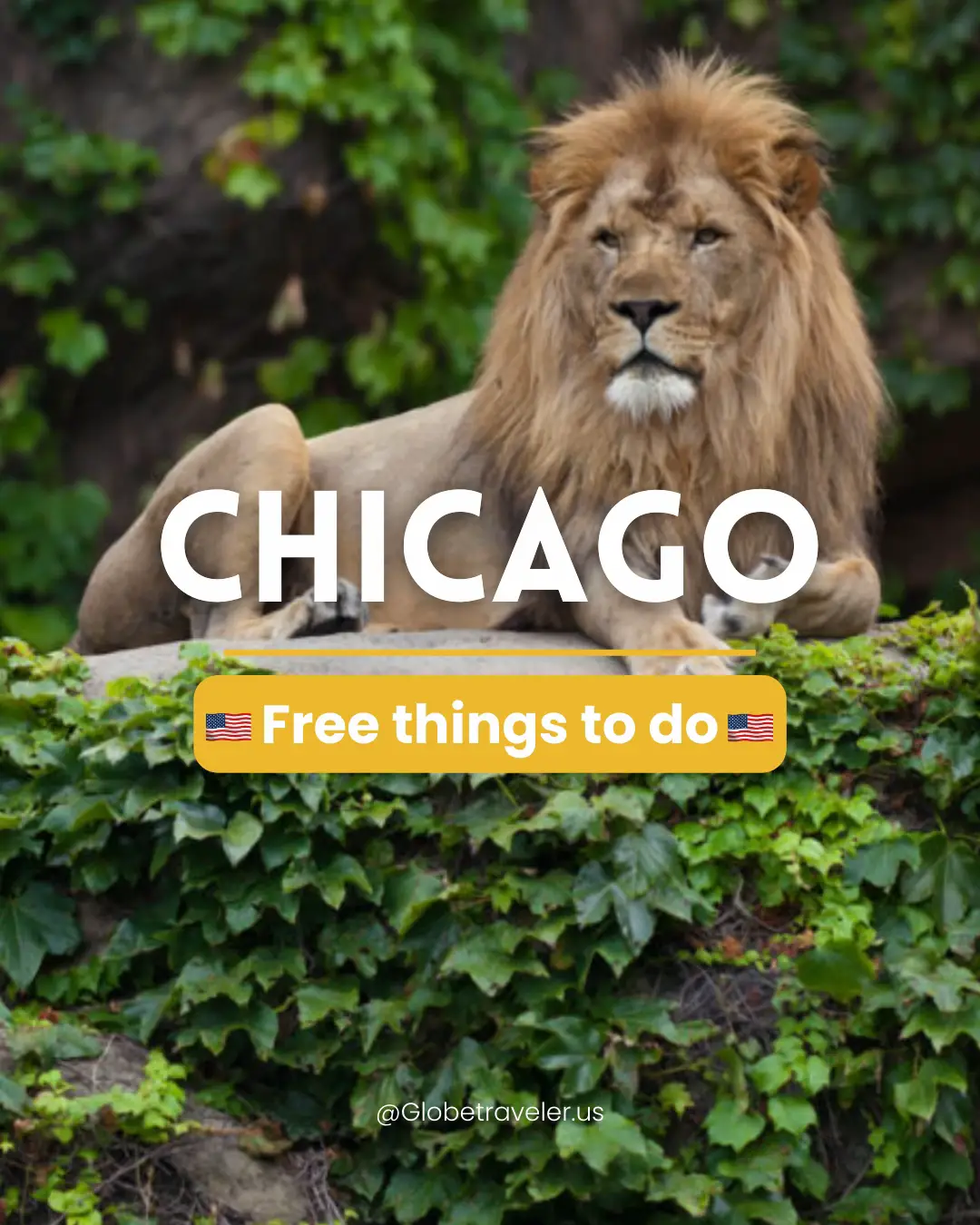 free-things-to-do-in-chicago-gallery-posted-by-globe-traveler-lemon8