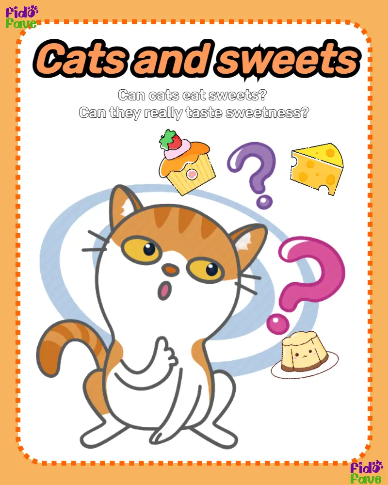 Are sweets outlet bad for cats