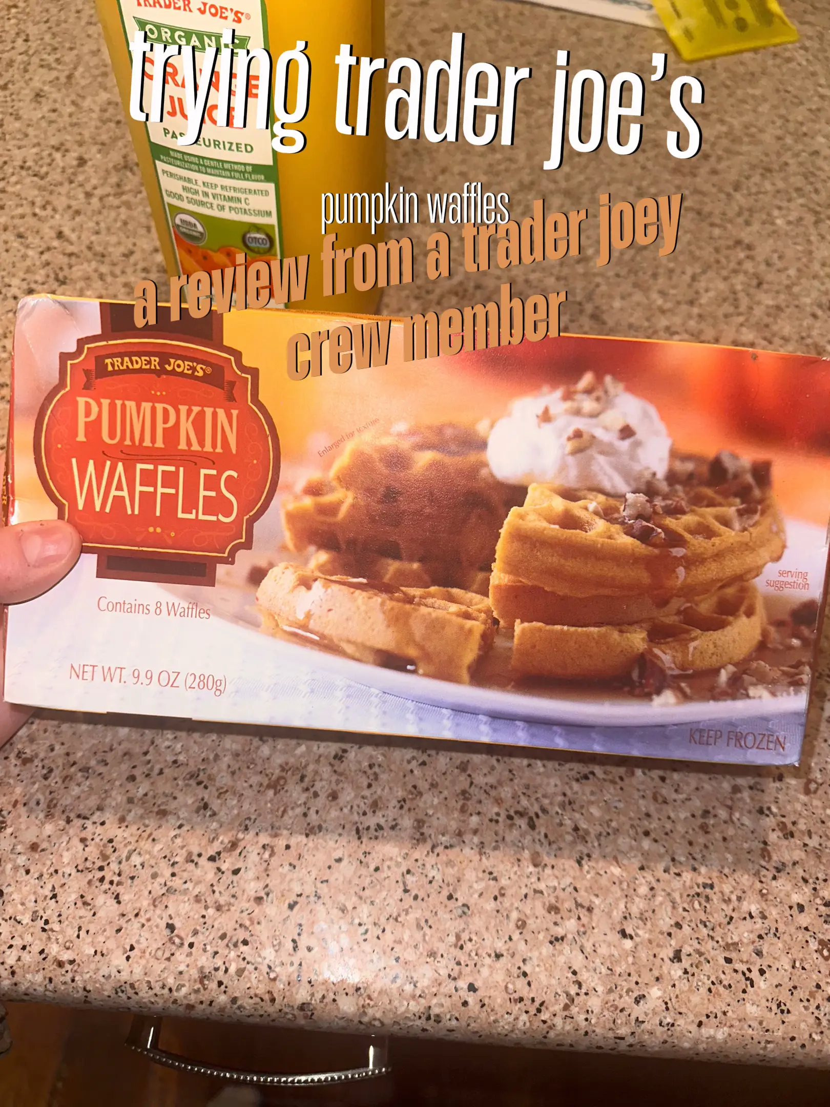 We Tried Trader Joe's Pork and Ginger Soup Dumplings - DailyWaffle