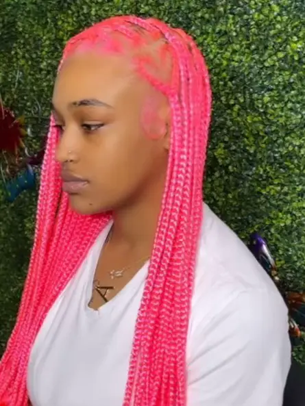 me with pink Fulani braids and beads  Braids with beads, Cute box braids  hairstyles, Pink box braids