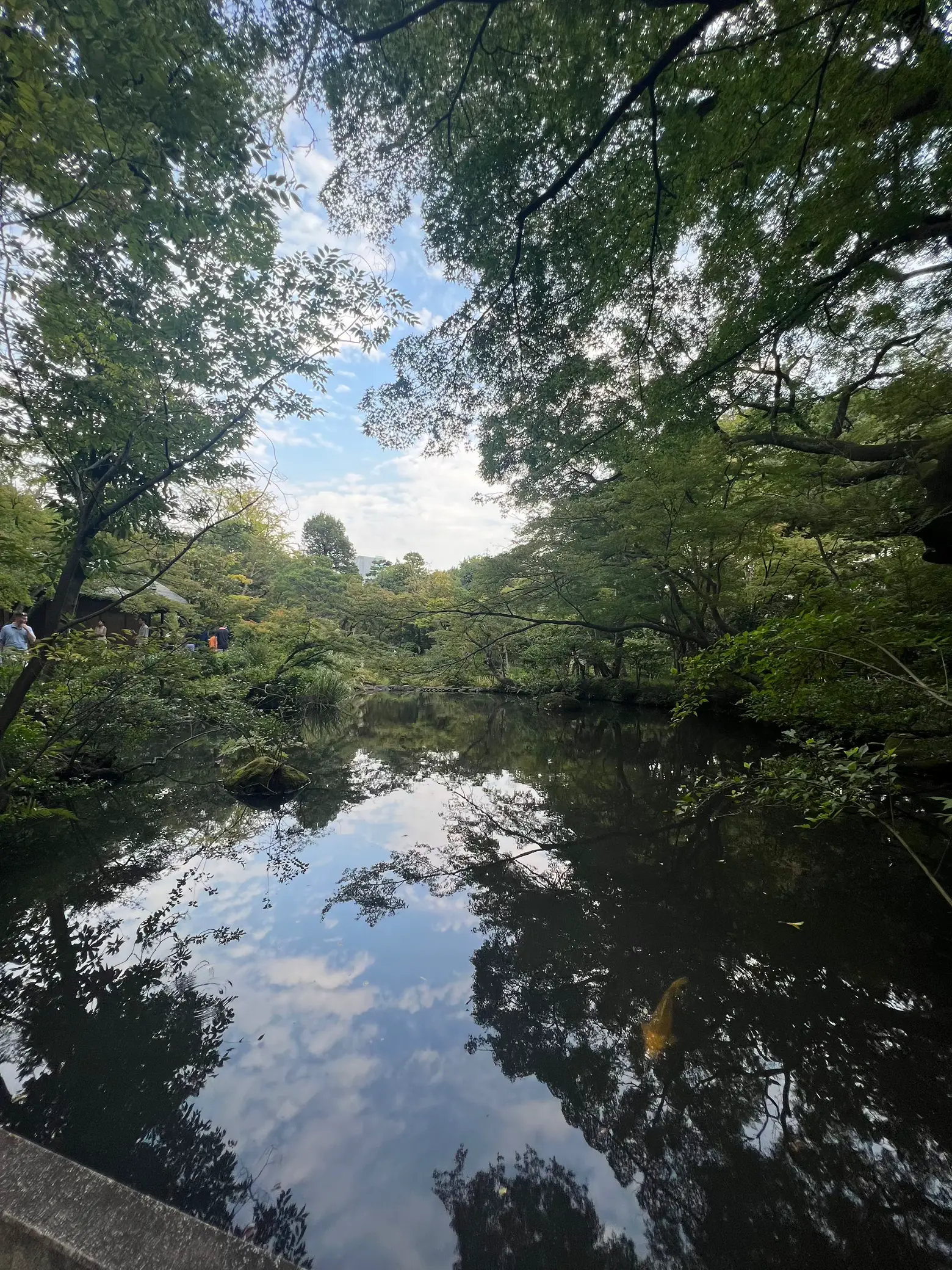 [Omotesando] พิพิธภัณฑ์ศิลปะ Kengo Kuma Nezu โอเอซิสในโตเกียวที่มี ...