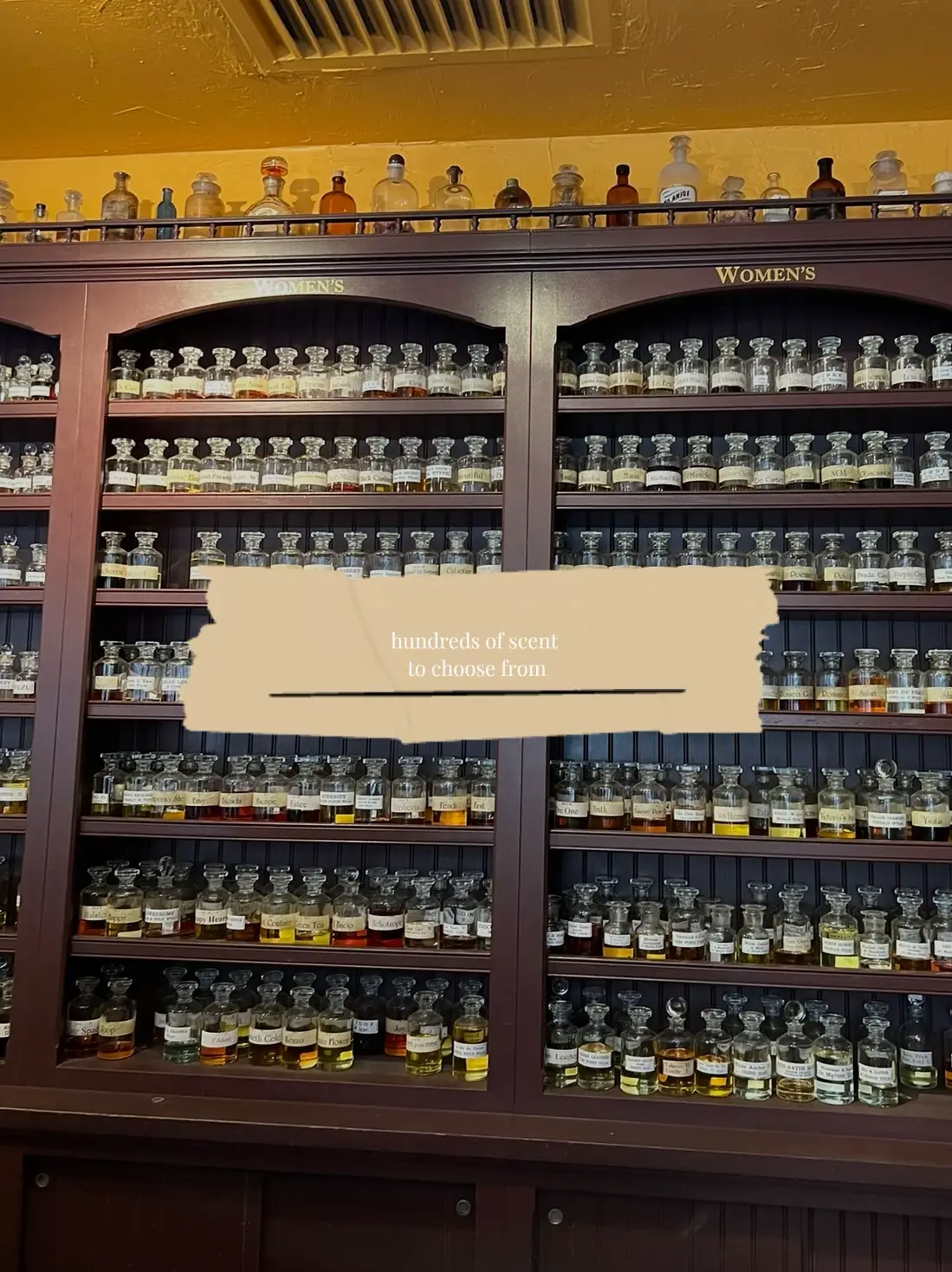 DIY PERFUME Gallery posted by SammyMcClymonds Lemon8