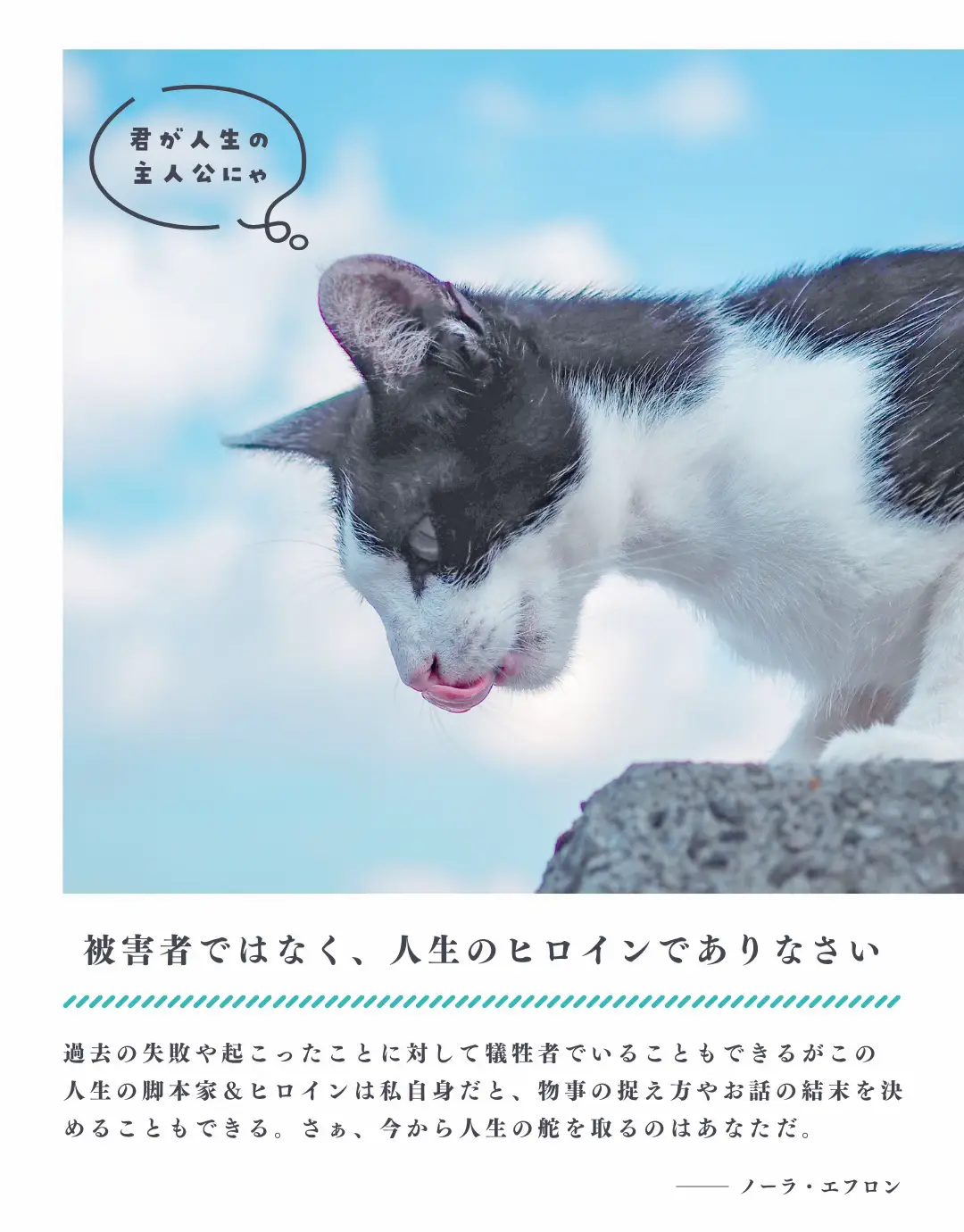 香川】猫の島🏝️可愛い猫ちゃんと名言に癒される✨ | 絶景まりナビが