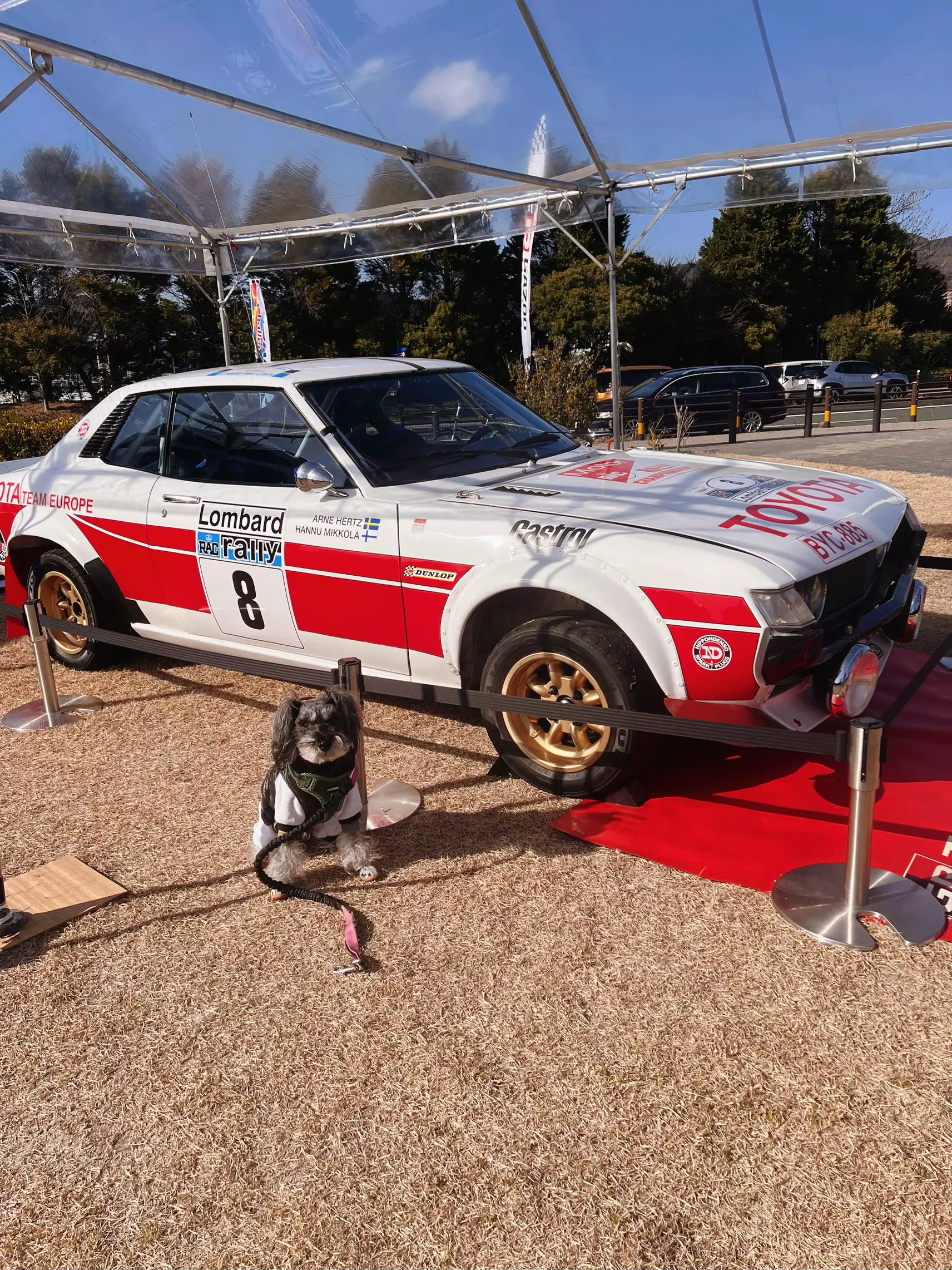 Toyota Gr Rally Racing - Lemon8検索