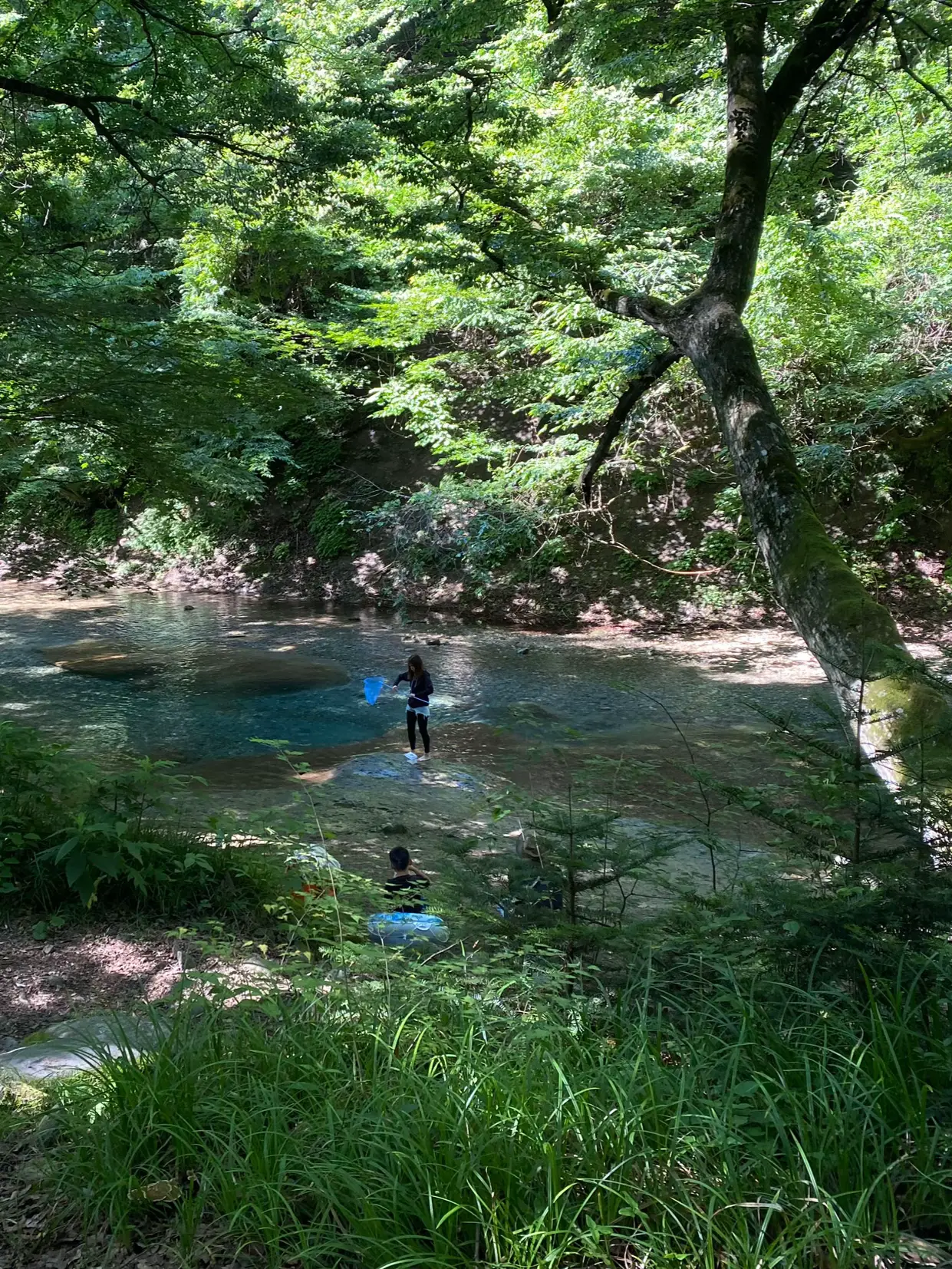 水の透明度100%！森林浴もできる川「木の俣渓谷と木の保園地」那須塩原 ...