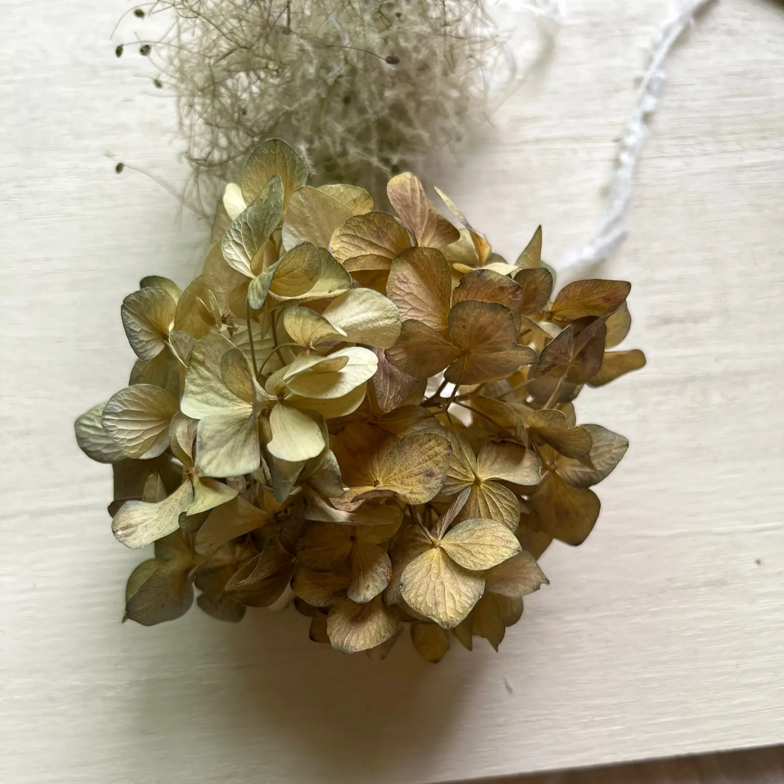 ドライフラワー ガーランド 秋色の紫陽花とスモークツリー | atsuが投稿したフォトブック | Lemon8
