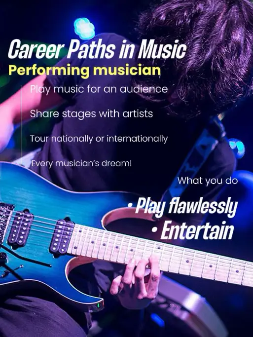 Career paths in music: performing musician's images(0)