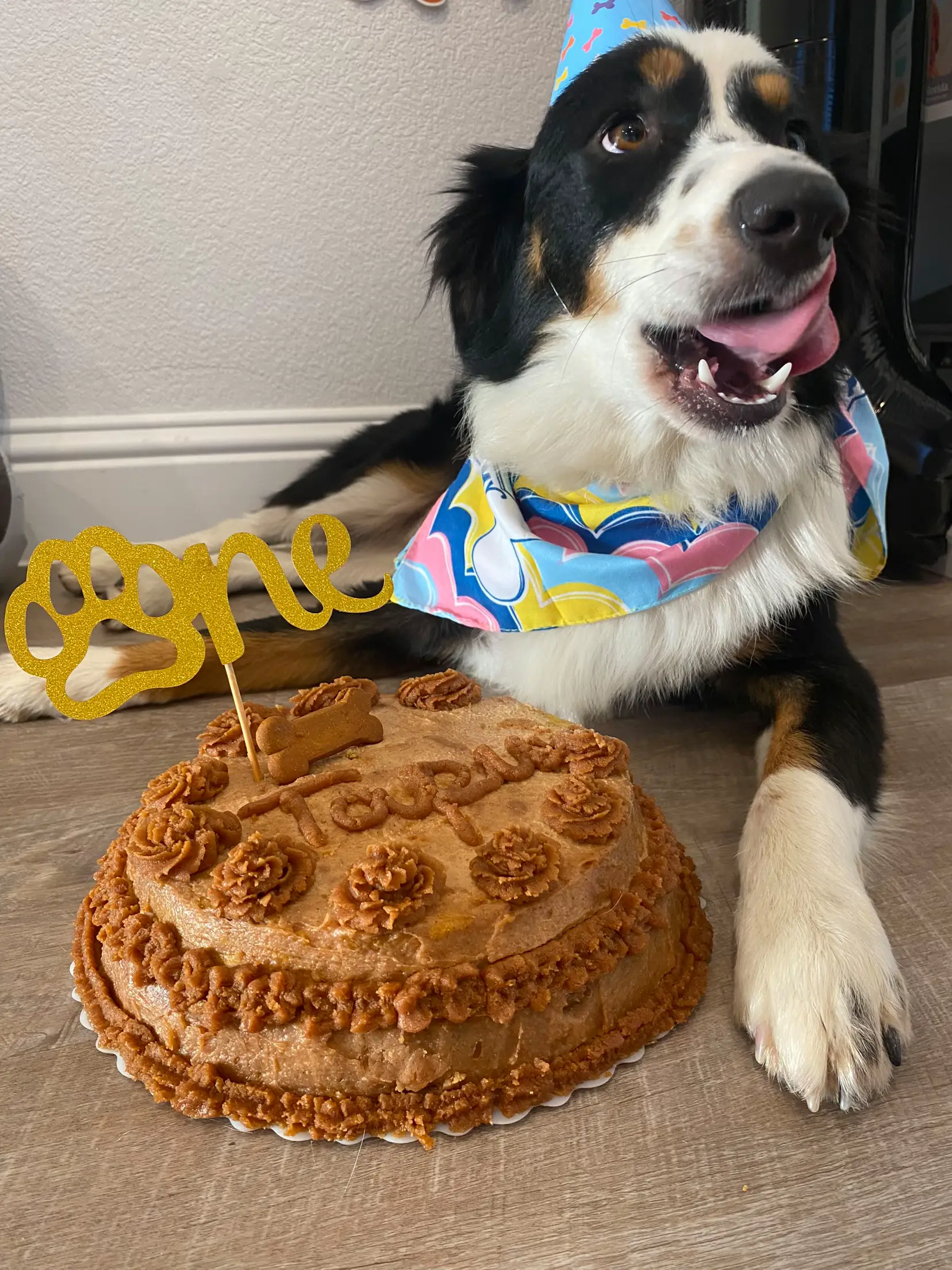 Australian best sale shepherd cake