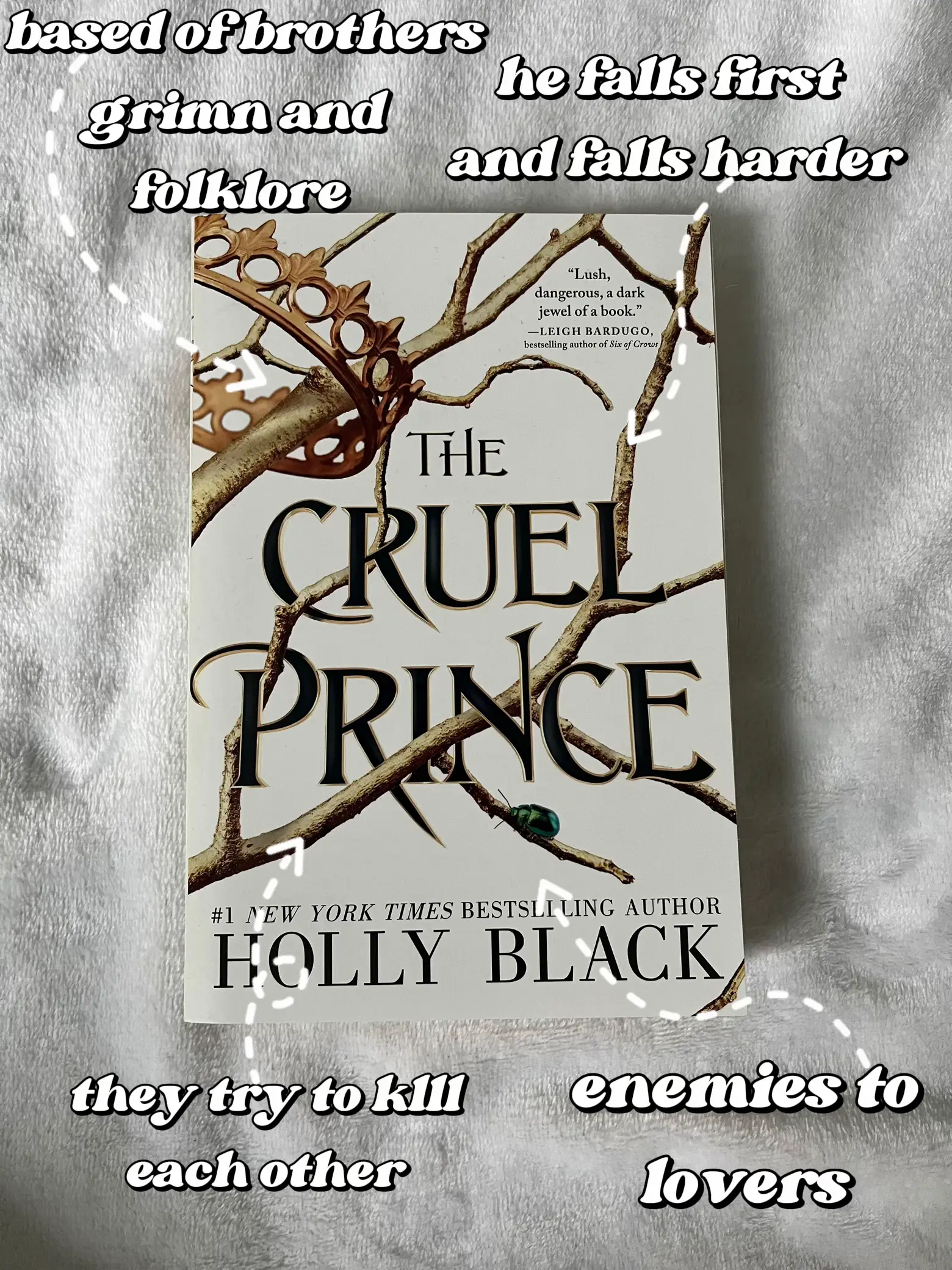  A book cover with a branch on it called The Cruel Prince.
