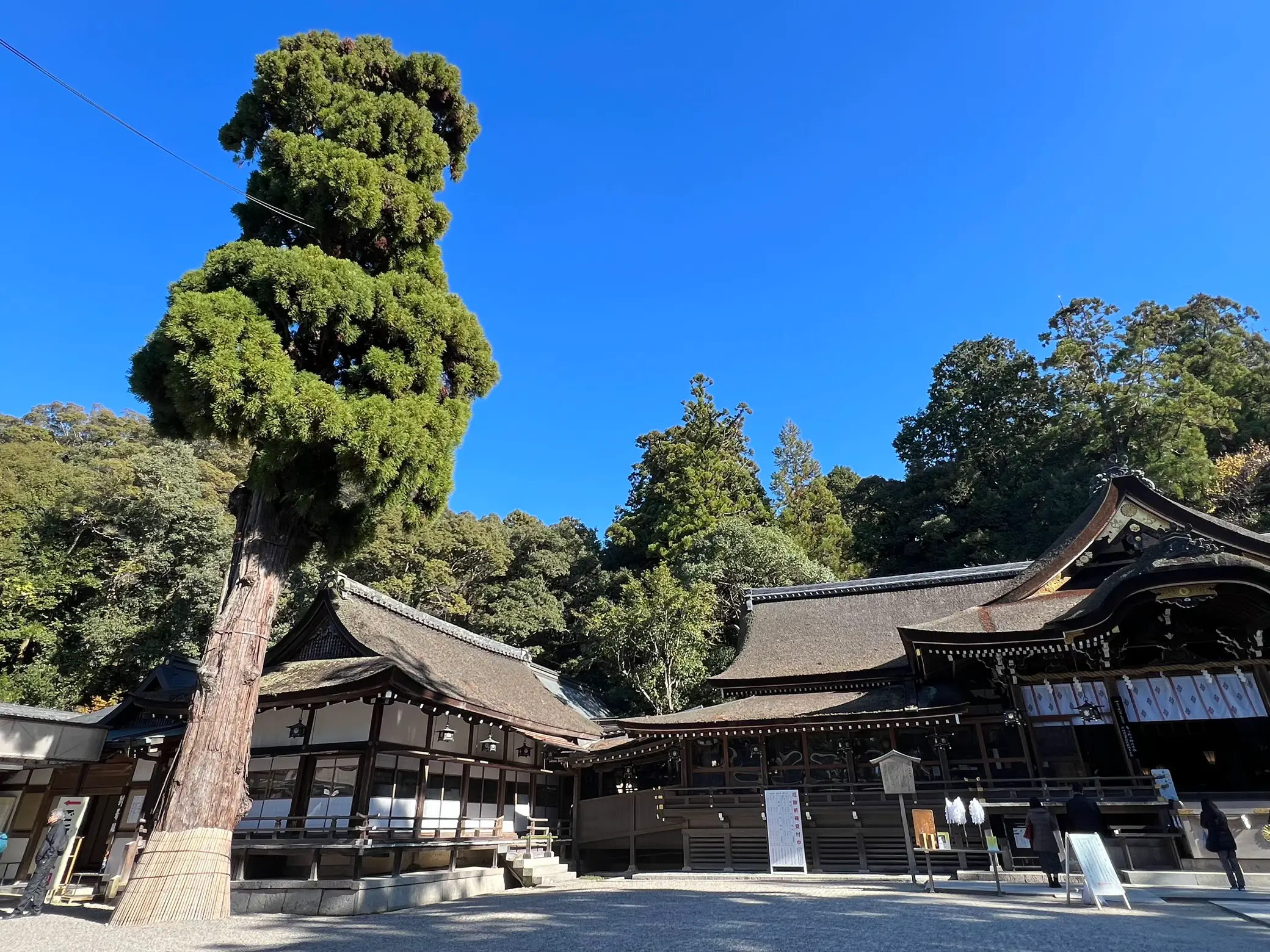 大神神社へお礼参り | じょこっすが投稿したフォトブック | Lemon8