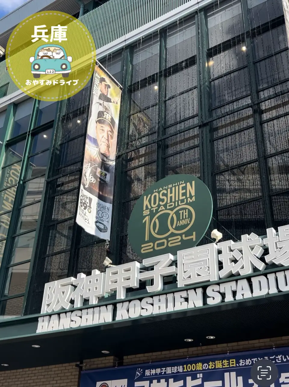 阪神VS巨人 8/1木曜 甲子園 グリーンシート なめらか