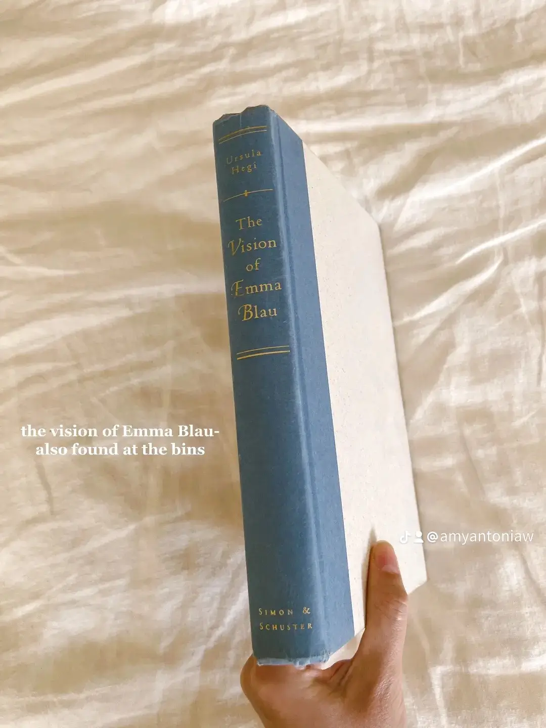  A person is holding a book titled The Vision of Emma Blau.