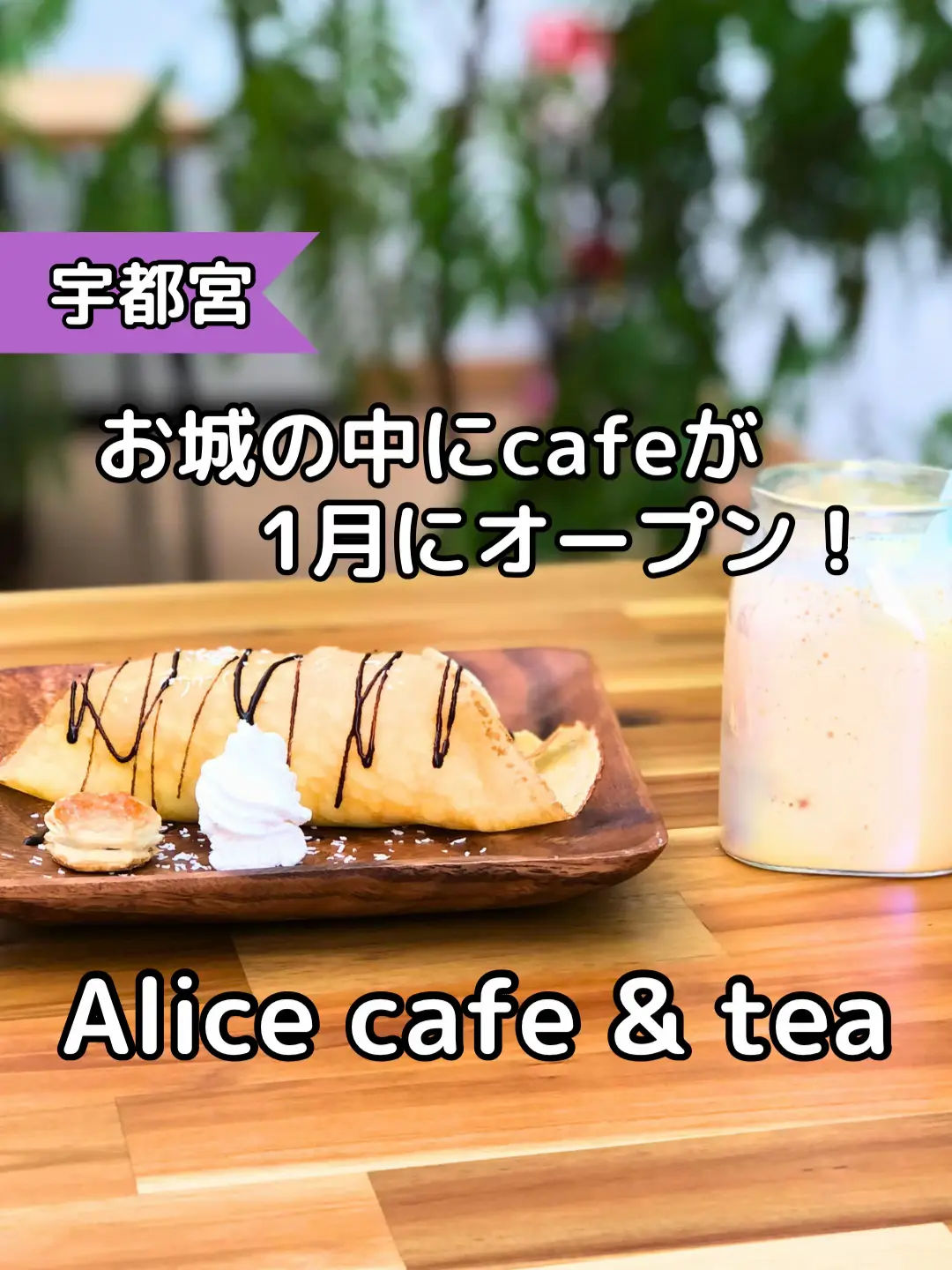 宇都宮】お城の中のカフェが2024年年1月にオープン Alice Cafe & Tea | 🍓MIYAのとちぎ散歩🍓の投稿動画 | Lemon8