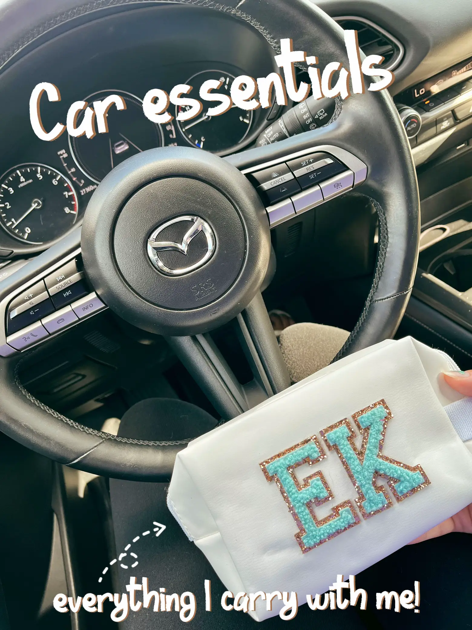 Car Essentials 🚗🙌🏻, Gallery posted by Elizabethkam1
