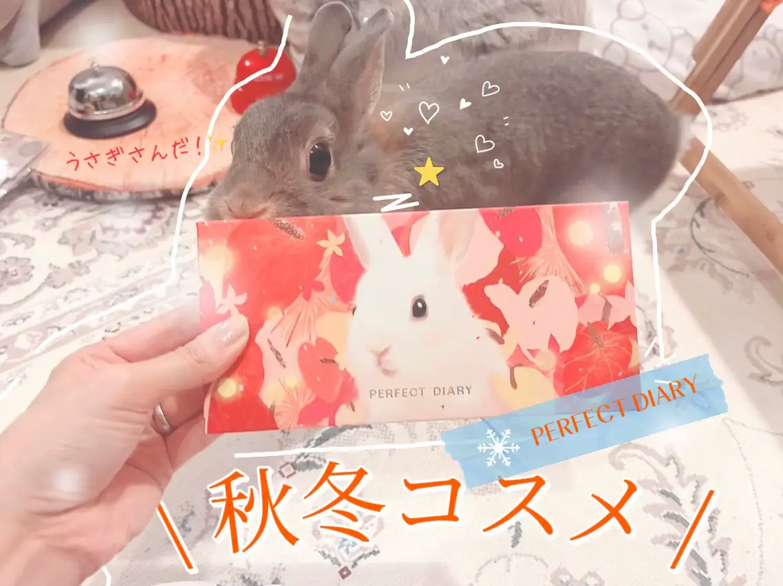 うさぎさんアイシャドウパレット🐰 | キキ社長の秘書🐇が投稿したフォトブック | Lemon8