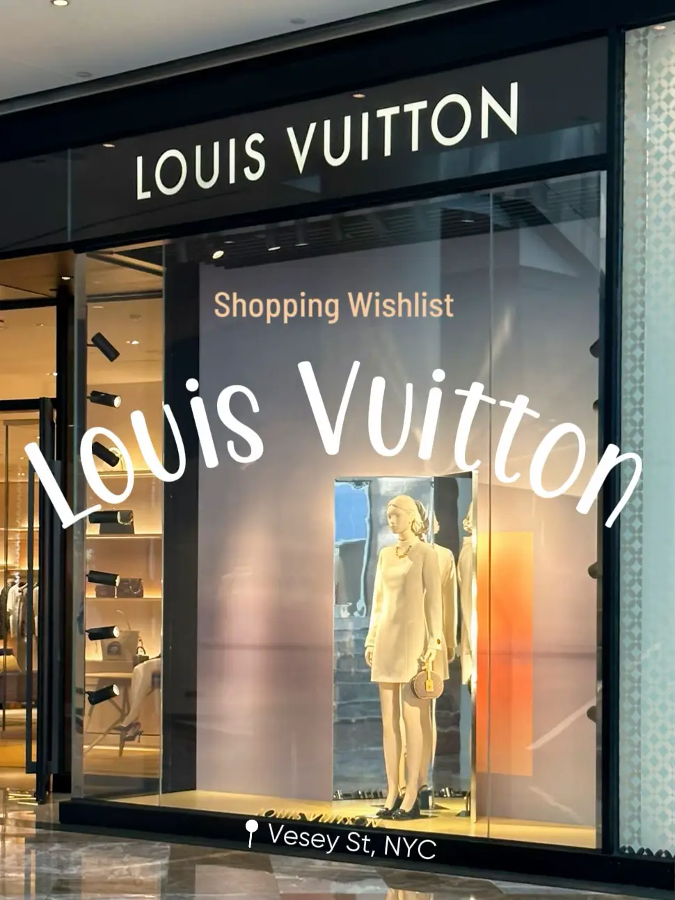 Louis Vuitton Wishlist 💎✨ shopping in nyc