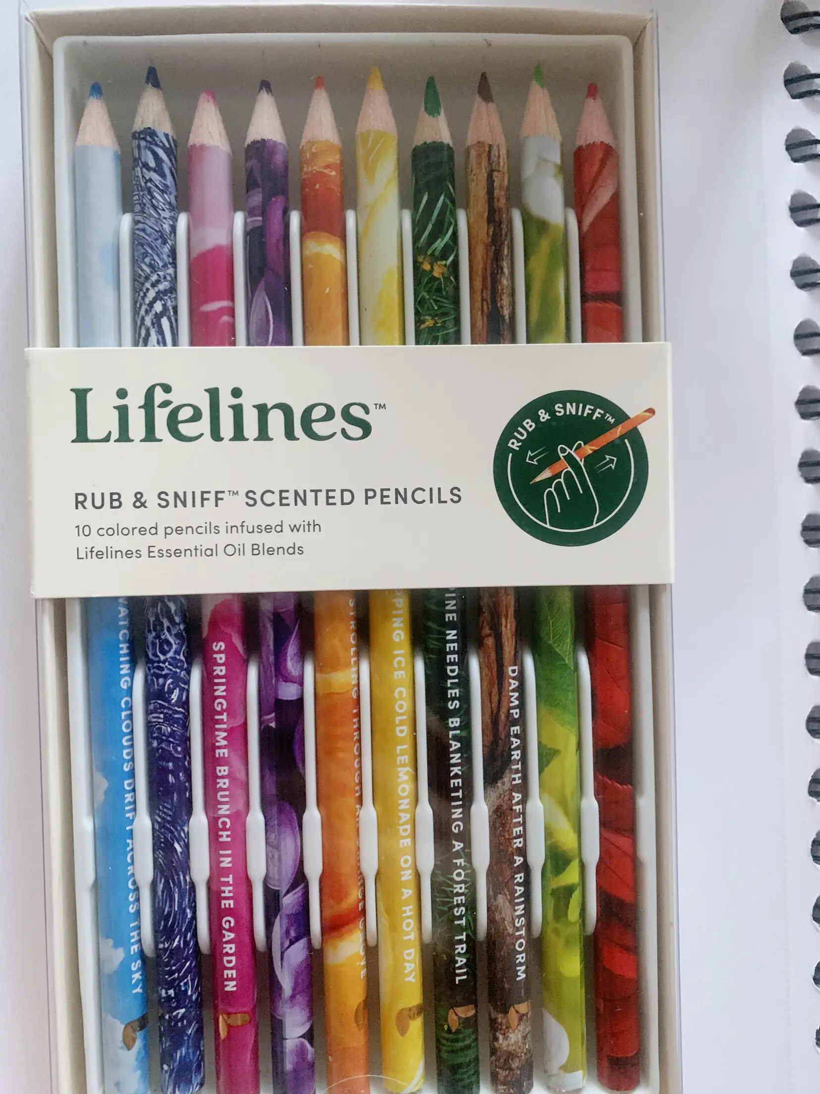 mechanical pencils 48-count