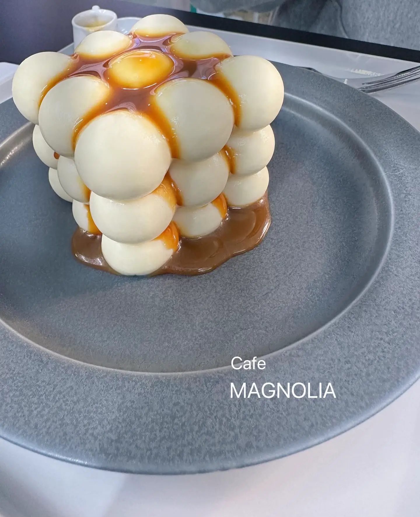 【Cafe Magnolia】TVでも紹介された もこもこチーズケーキが食べられる川越のカフェの画像 (0枚目)