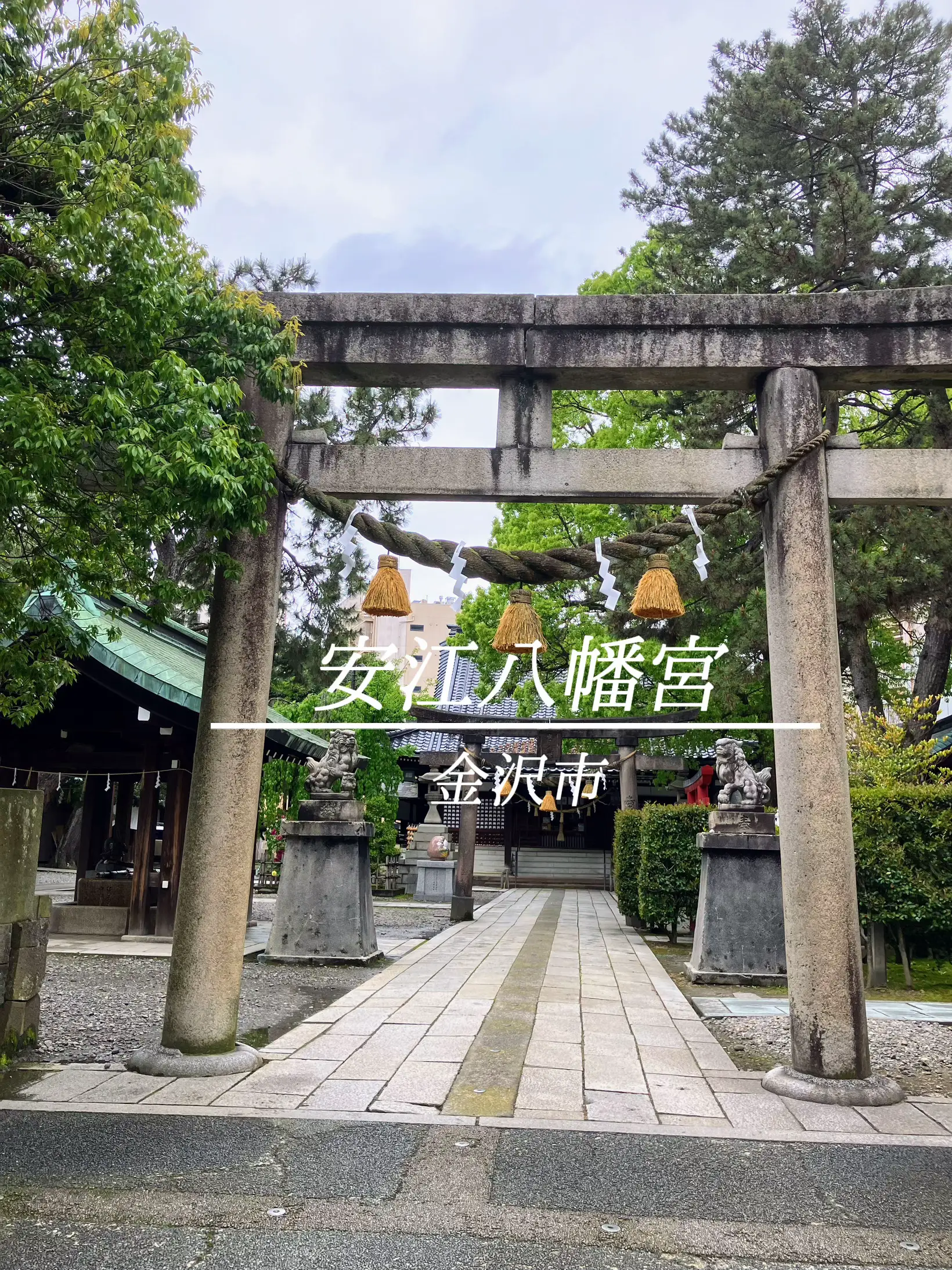 金沢】金沢駅から徒歩5分！だるまがかわい「安江八幡宮」 | 土屋香奈_金沢女子旅が投稿したフォトブック | Lemon8