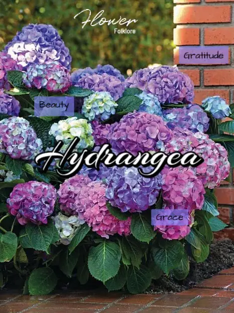 Grande hydrangea blue willow tapestry new arrivals