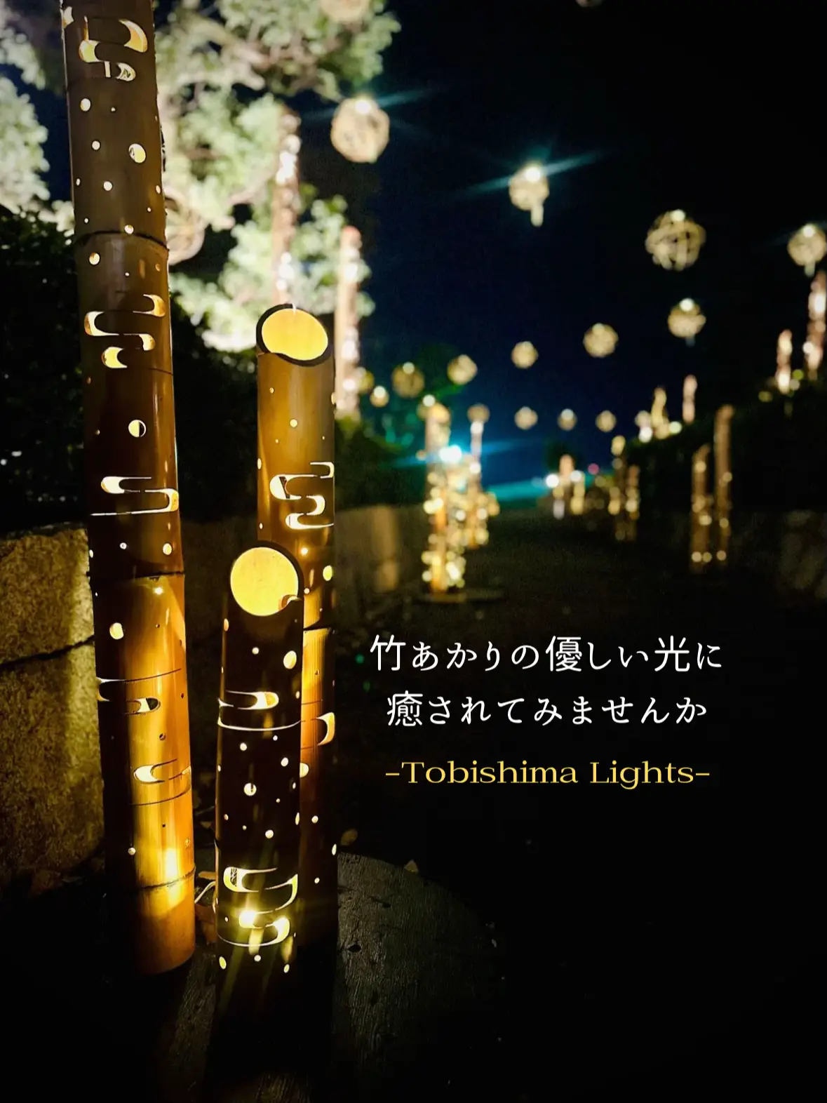 竹灯籠 〜藤・牡丹〜 幻想の灯り ☆ 竹ランプ 【公式通販】