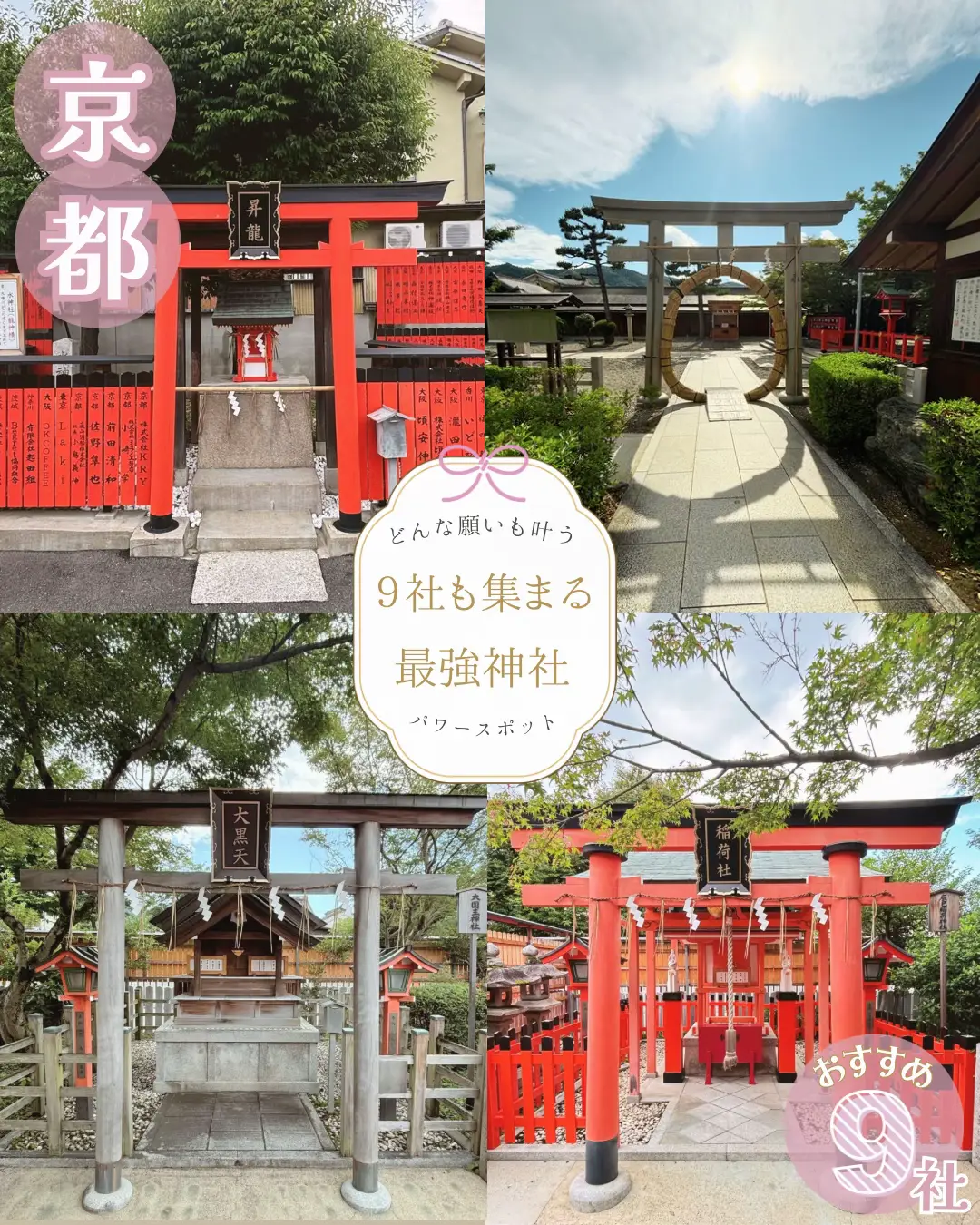 金櫻神社⛩金運パワスポ | まいまいが投稿したフォトブック | Lemon8