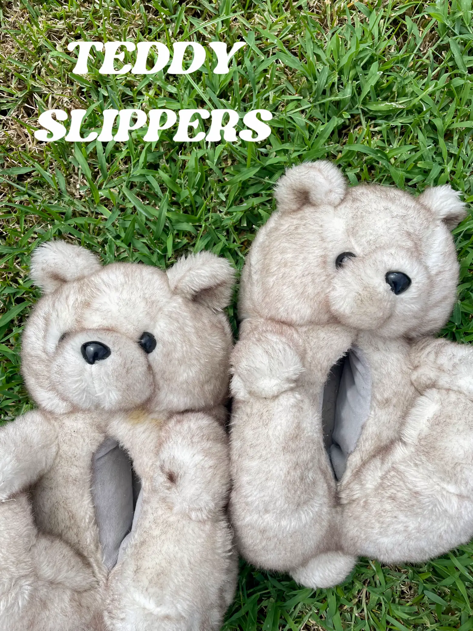 Konterfeit teddy bear online slippers