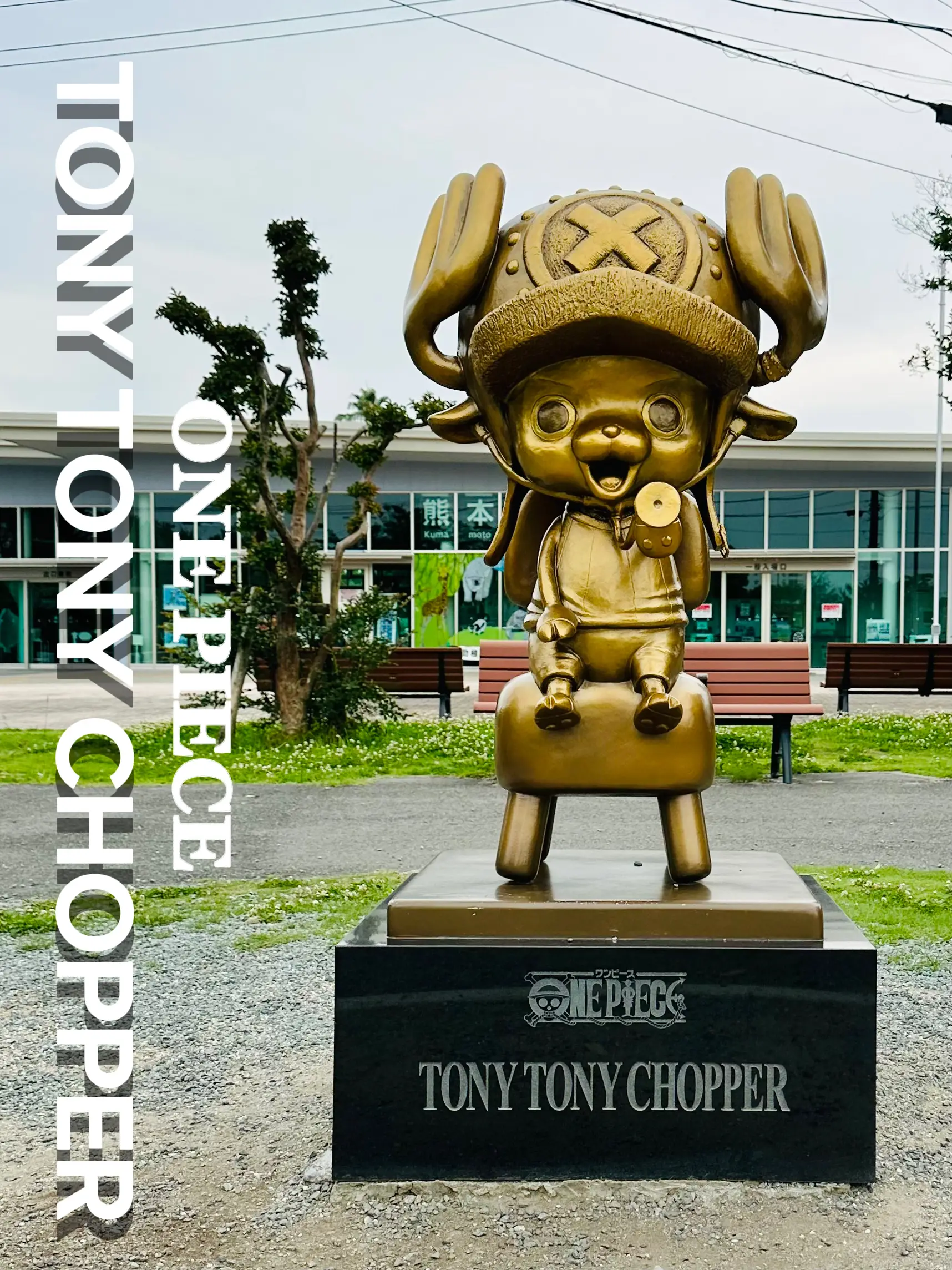 ✨TONY TONY CHOPPER💕 | yuka☺︎が投稿したフォトブック | Lemon8