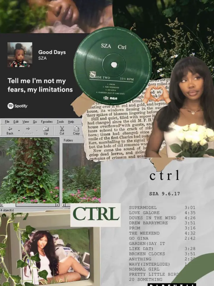  A collage of music lyrics and a woman with a flower in her hair.
