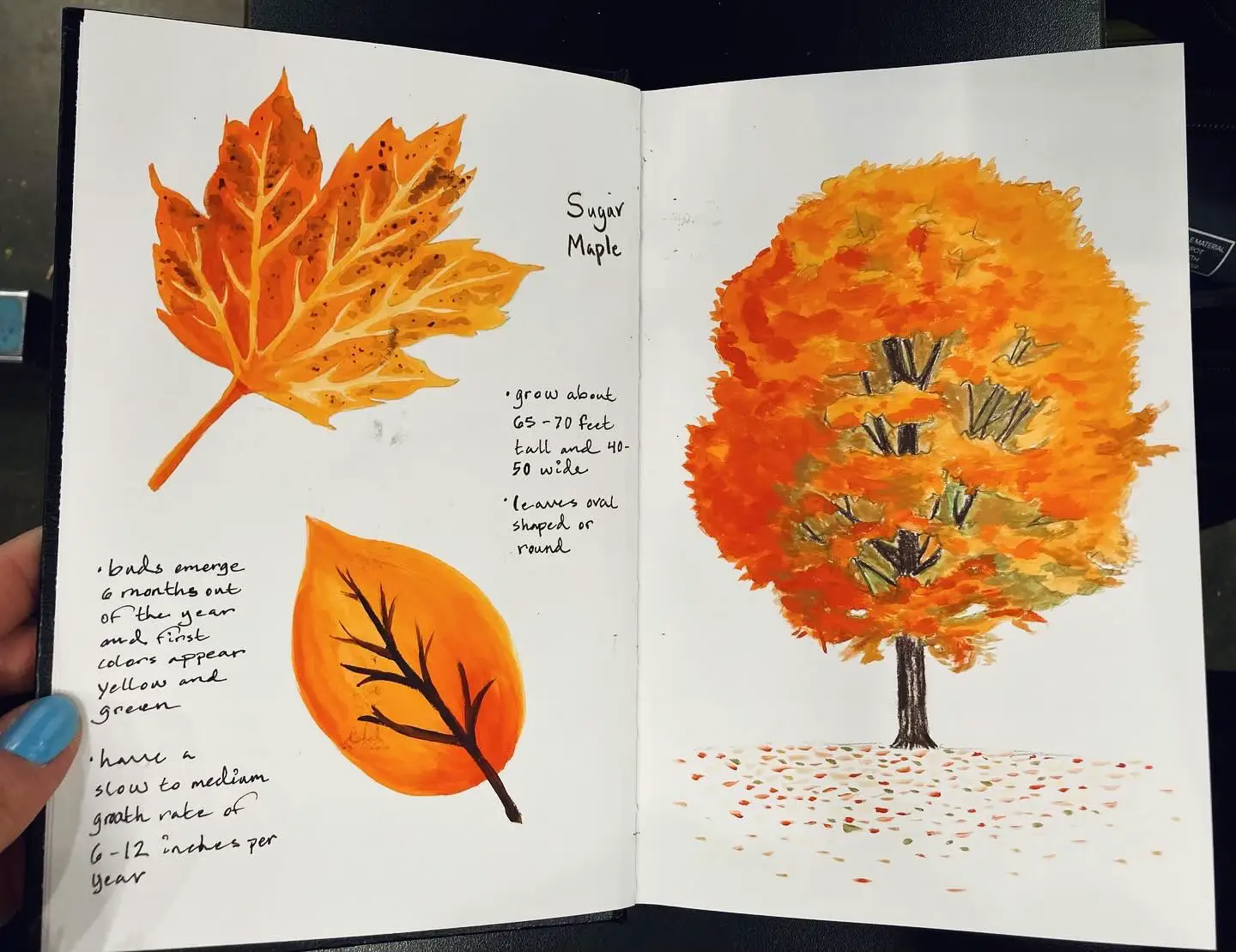 Art School Sketchbook tour - My last semester as an art student 