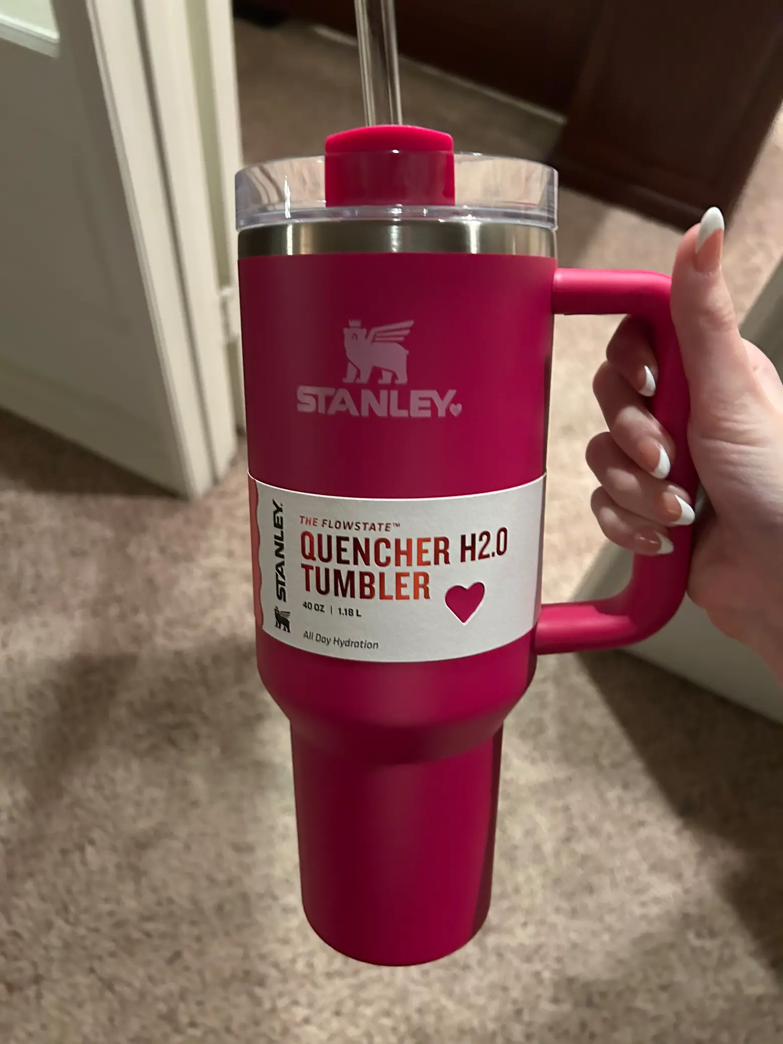 Stanley Pink Parade Black Friday Limited Edition Quencher H2.0 Flowstate  Tumbler 40oz - Tumblers, Facebook Marketplace