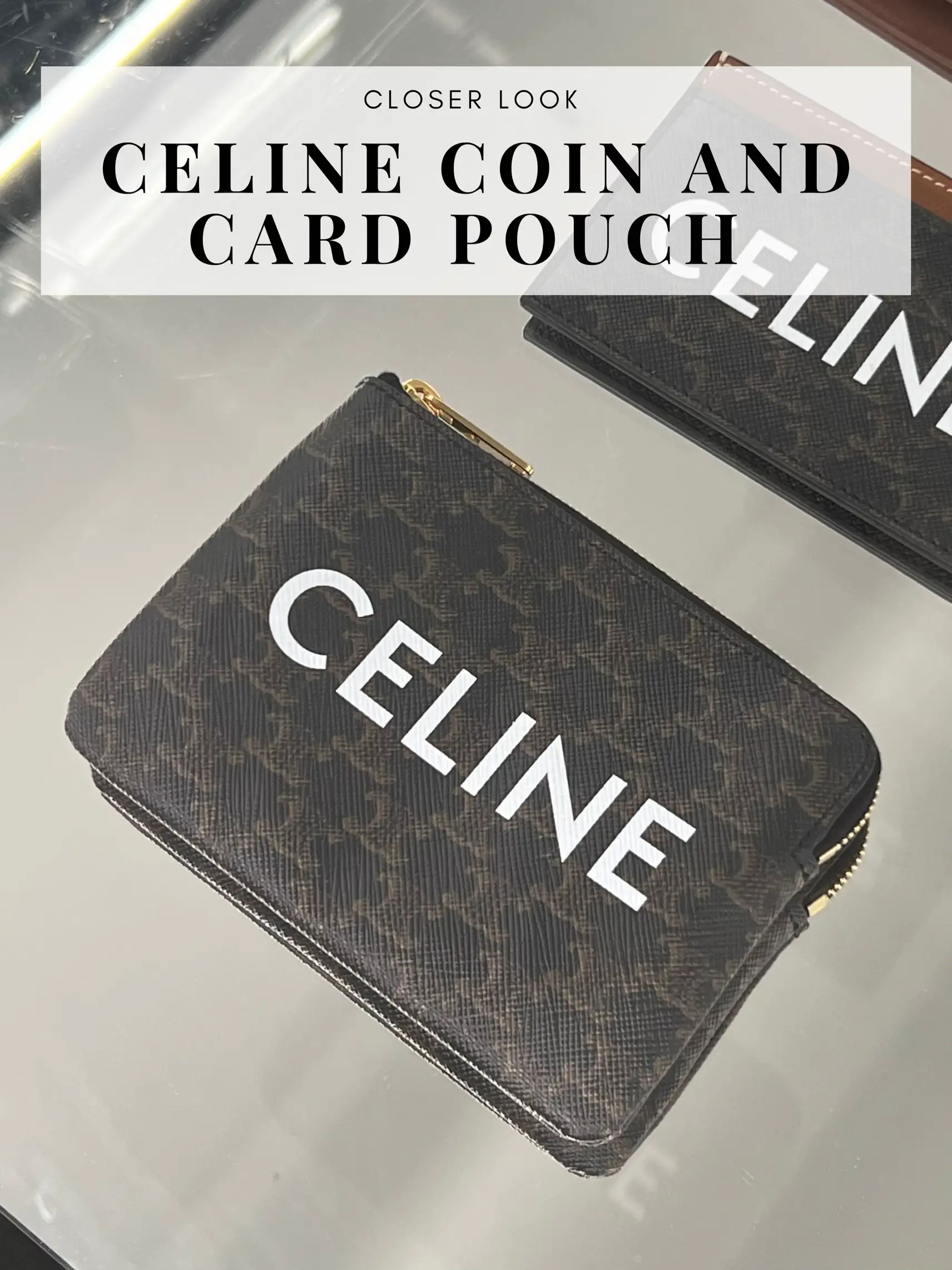 CELINE Triomphe Coin & card pouch in triomphe canvas (10C662CA2