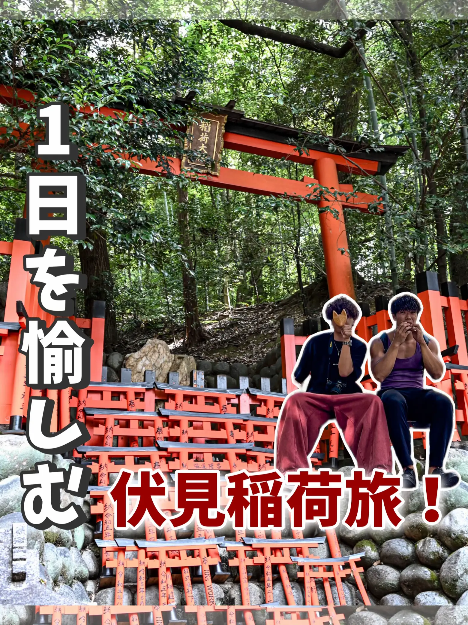 1人予算4,500円】いっぱい食べて歩く伏見稲荷旅！IN京都 | NEOトラベラーズの投稿動画 | Lemon8