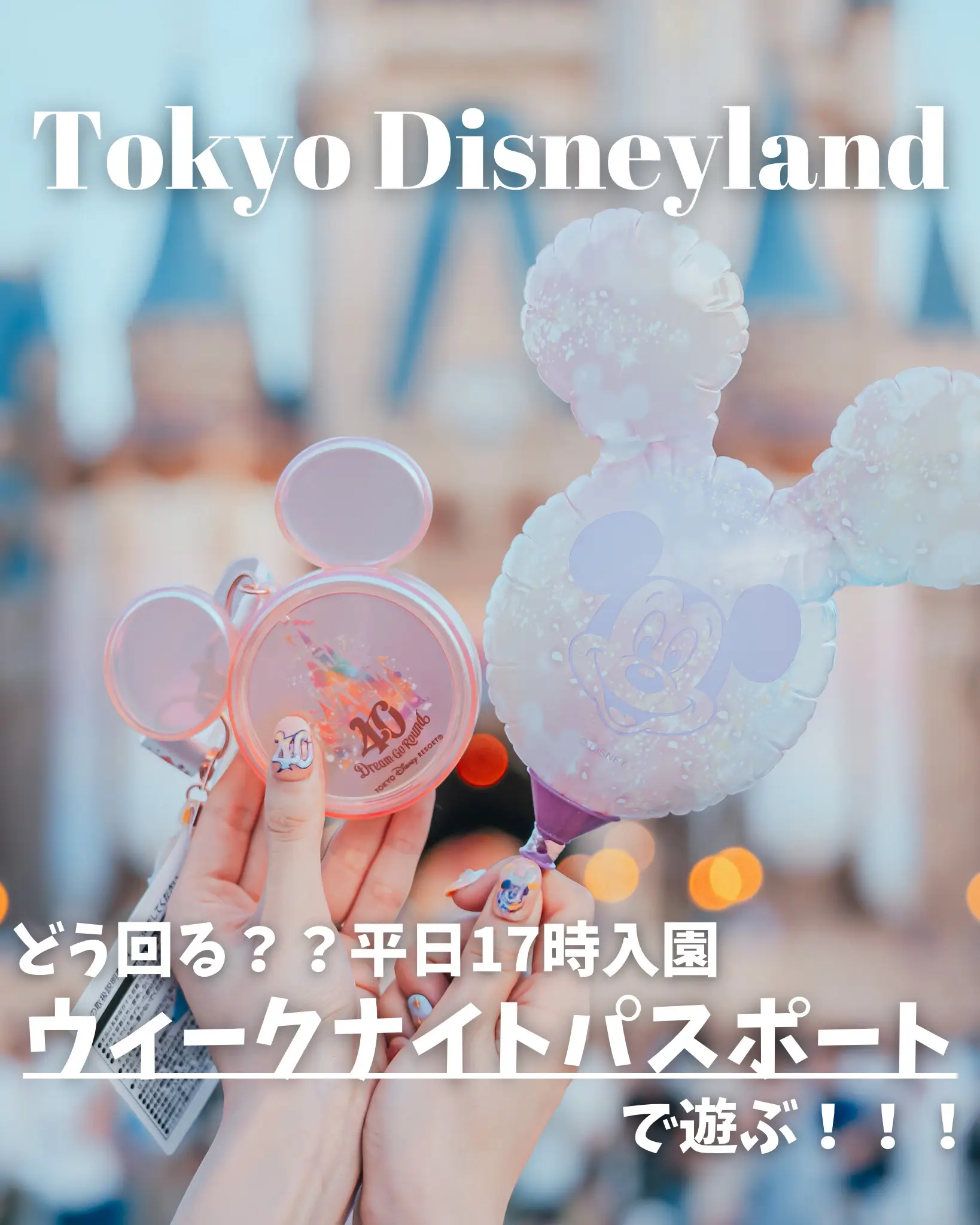 平日17時入園！ウィークナイトパスポートで遊ぶ🏰🐭✨ | ぴらこが投稿